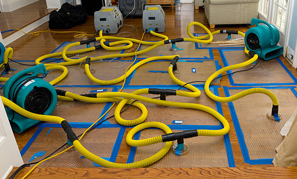 Professional Water Extraction technician working in Trumbauersville, PA
